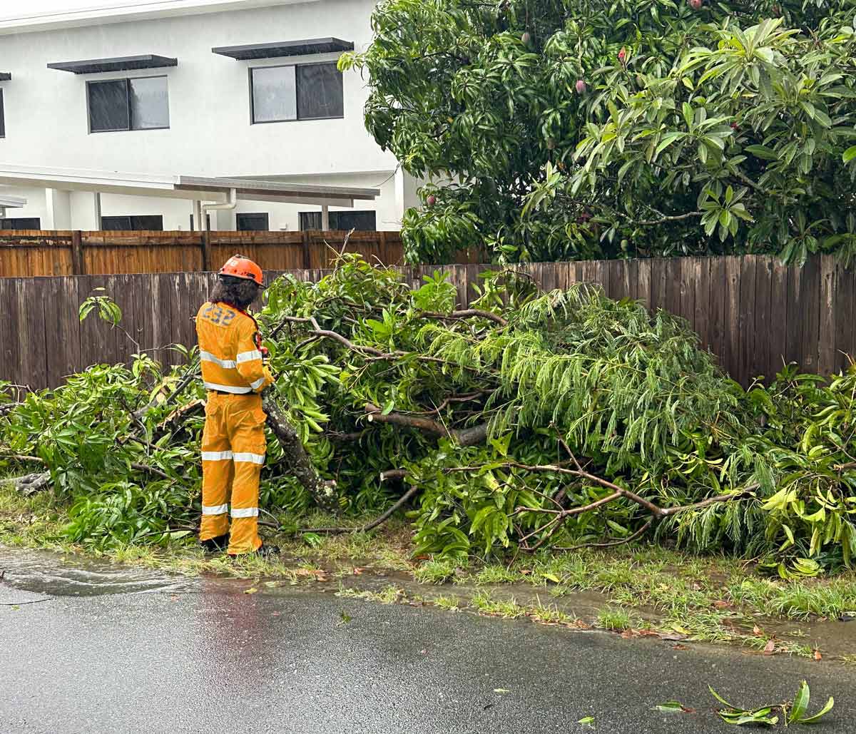 Emergency-tree-services-after-storm-in-Brisbane