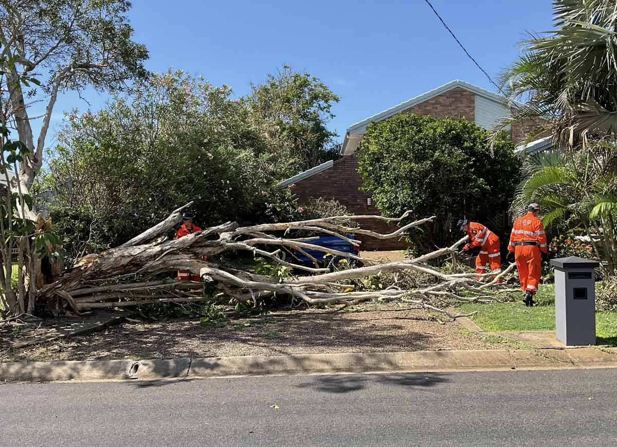 emergency-tree-removal