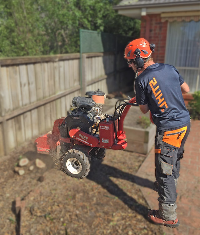 stump-grinding-machine-side-yard